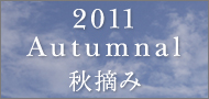 2011�H�E�ݓ���