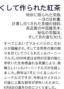 �}�J�C�o�������V���o�[�j�[�h���Y