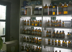 �g���_���@��