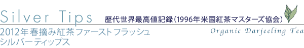 �t�@�[�X�g�t���b�V��