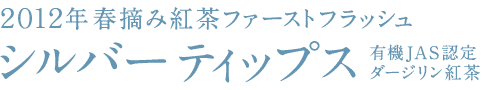�t�@�[�X�g�t���b�V���@�_�[�W�����g��