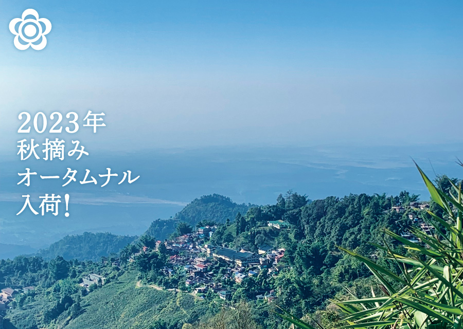 I[KjbN g }JCo Makaibari Tea Estate