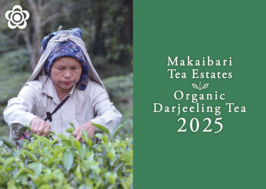 �I�[�K�j�b�N �g�� �}�J�C�o�� Makaibari Tea Estate