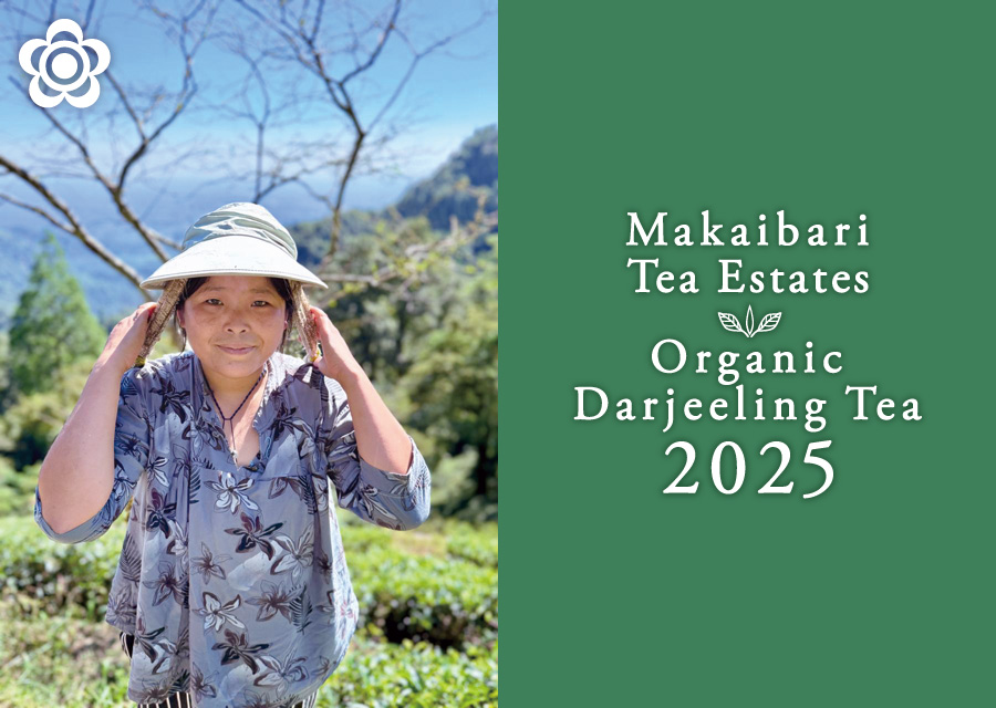 �I�[�K�j�b�N �g�� �}�J�C�o�� Makaibari Tea Estate