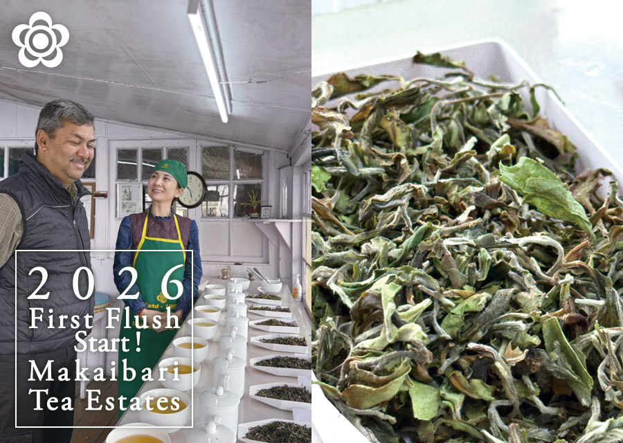 �I�[�K�j�b�N �g�� �}�J�C�o�� Makaibari Tea Estate