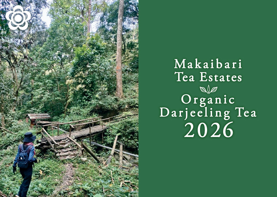 �I�[�K�j�b�N �g�� �}�J�C�o�� Makaibari Tea Estate