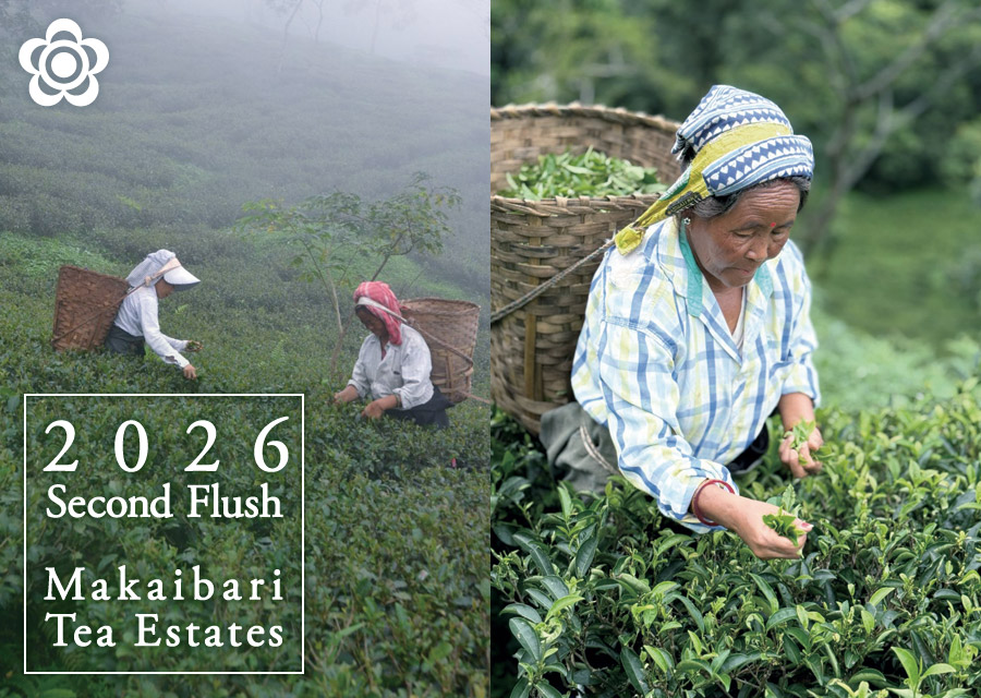 �I�[�K�j�b�N �g�� �}�J�C�o�� Makaibari Tea Estate