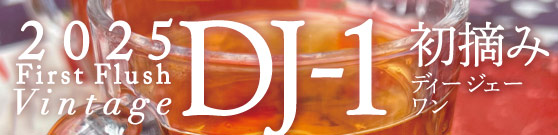 DJ-P
