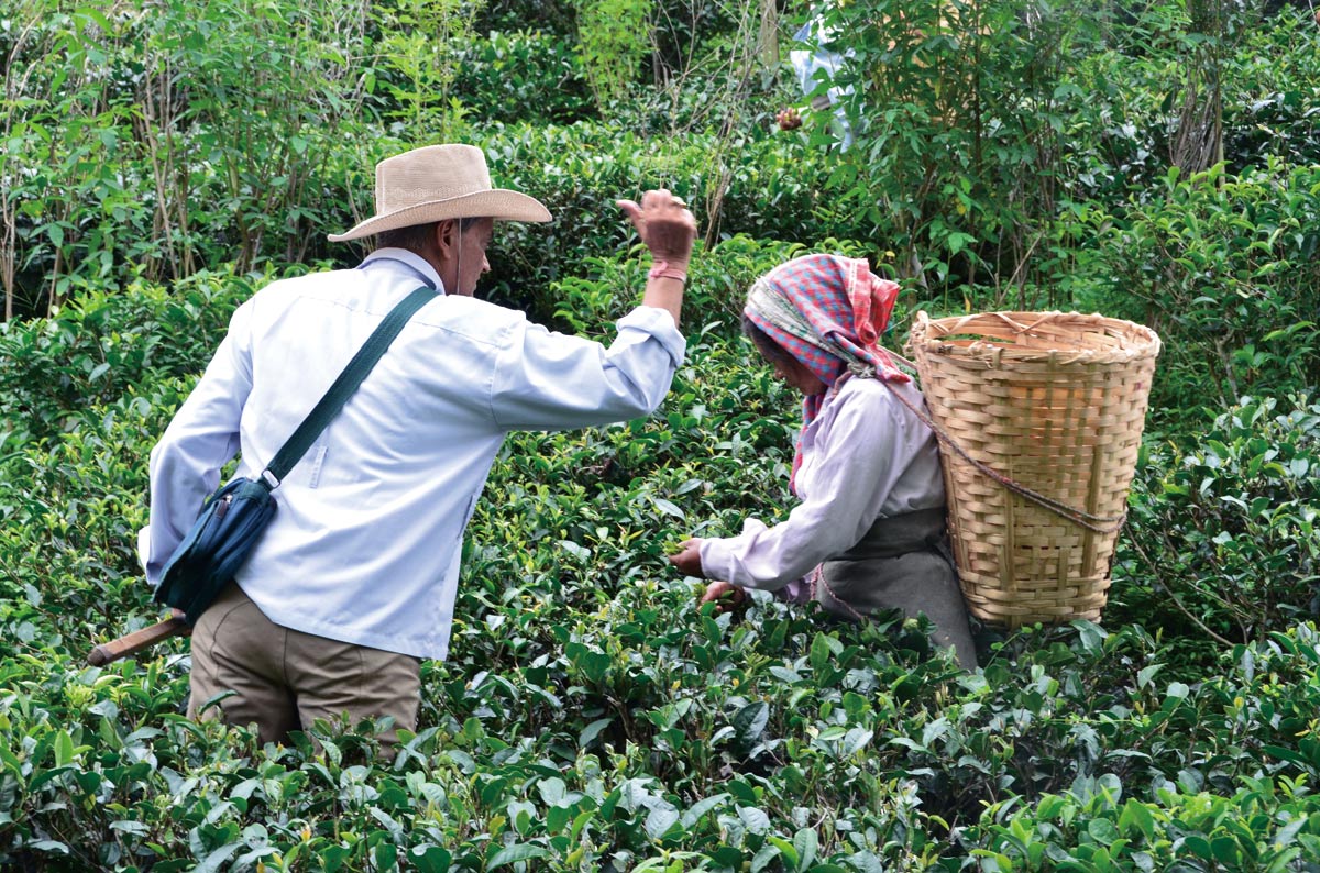 �_�[�W���� �}�J�C�o������