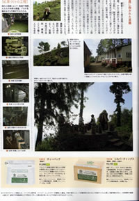 �I�[�K�j�b�N�^�E��