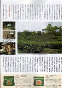 �I�[�K�j�b�N�^�E��