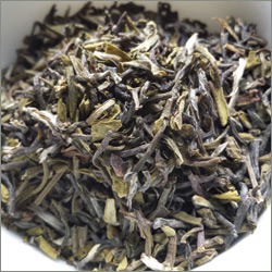 オーガニック 緑茶