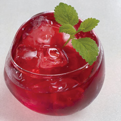 �I�[�K�j�b�N�n�[�u�e�B�[ �n�C�r�X�J�X���V�i����