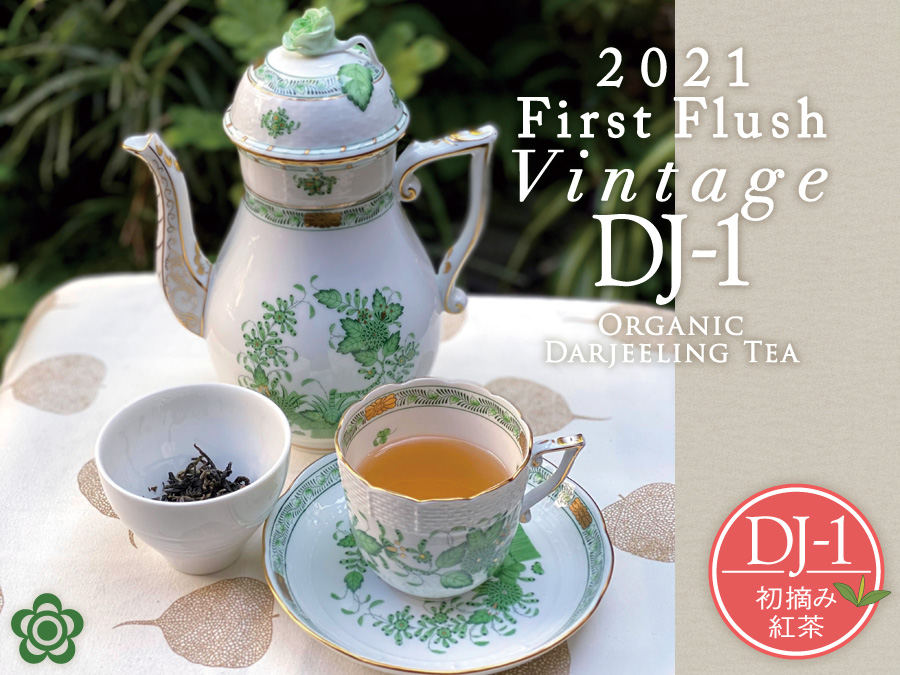 ダージリン紅茶 21年ファーストフラッシュ 初摘み紅茶dj 1