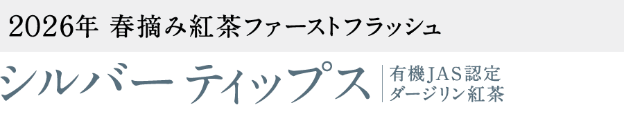 �t�@�[�X�g�t���b�V���@�_�[�W�����g��
