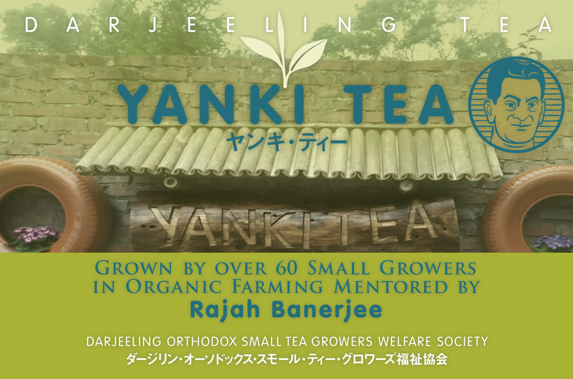 YANKI TEA LEeB[