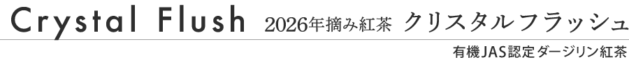 �_�[�W�����g���N���X�^���t���b�V��